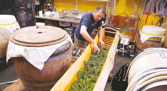 Brewmaster/owner Paul Arney with the spruce tree he cut down to use for his lauter tun