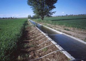 BriessWY_FurrowIrrigation_72dpi