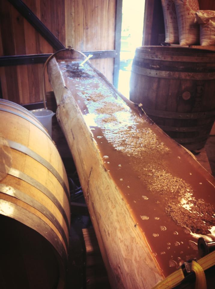 I bet you've never used a log as a lauter tun!