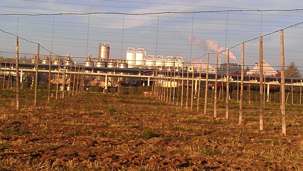 View of the cellar over their hop yard  (the brewhouse is on the right - steam)