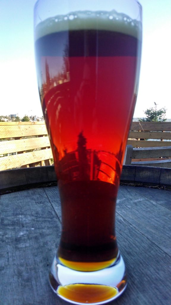 If I moved this glass you'd see Mt. Rainer...