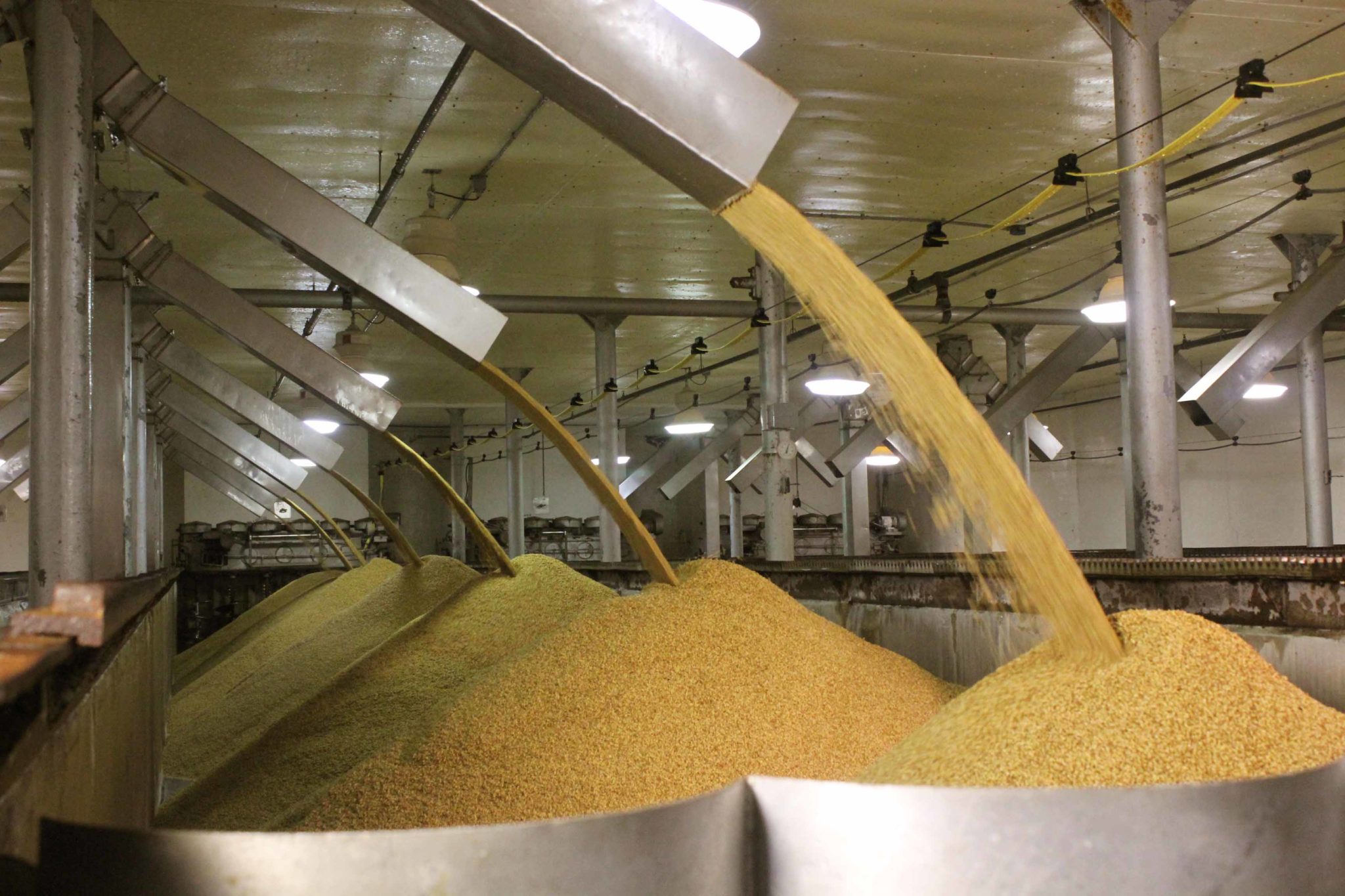 Malt of the Month Pale Ale Malt Brewing With Briess