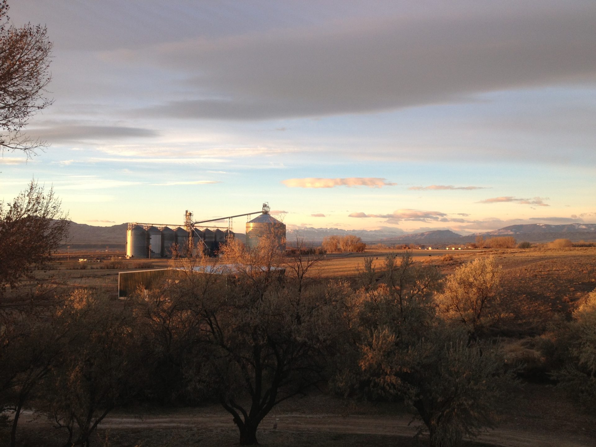 Highlights from the Briess Wyoming barley operation and grower dinner Brewing With Briess