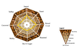 Briess Caramel Rye Average Sensory Profile spider web diagram.