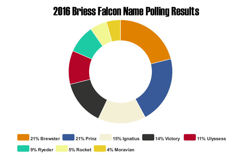Briess_2016FalconNamingContest_Results