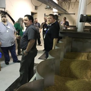 Brewers see hands on the different stages of the barley in the germination compartment, from day one where there is barely a chit, to day four where rootlets have begun to grow. 