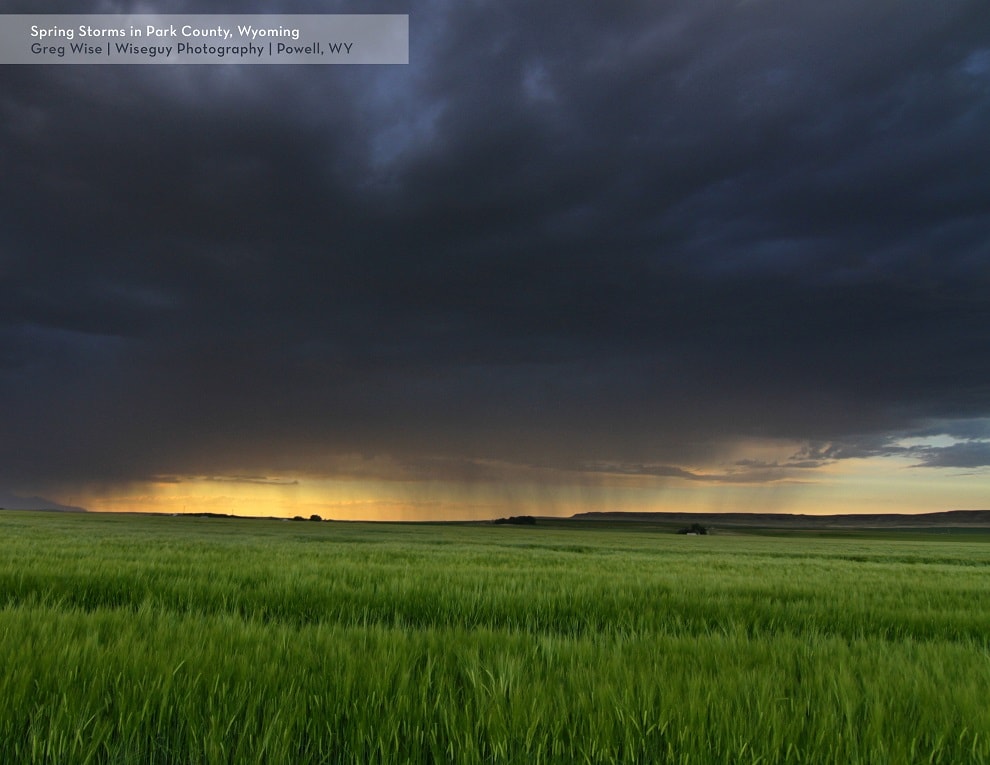 "Spring Storms in Park County, WY" Photo submitted by: Greg Wise | Wiseguy Photography | Powell, WY ©2016 Briess Industries, Inc.