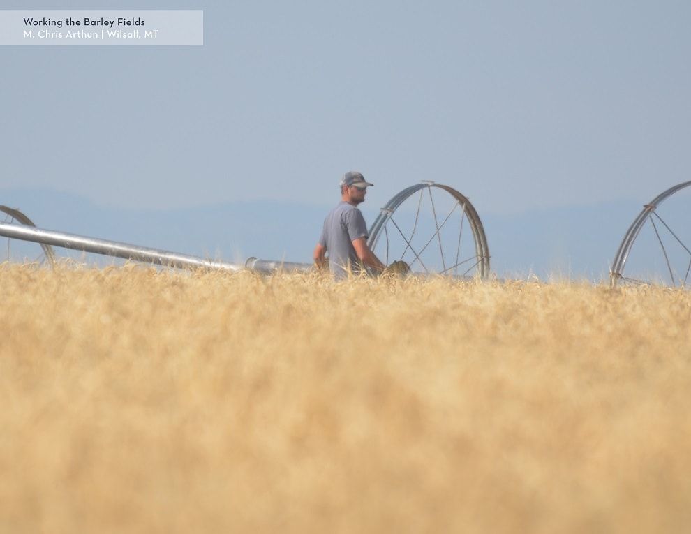 "Working the Barley Fields" Photo submitted by: M. Chris Arthun| Wilsall, MT ©2016 Briess Industries, Inc.