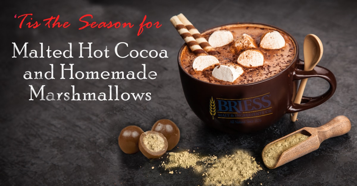 briess_blog_cocoamarshmallows_v2