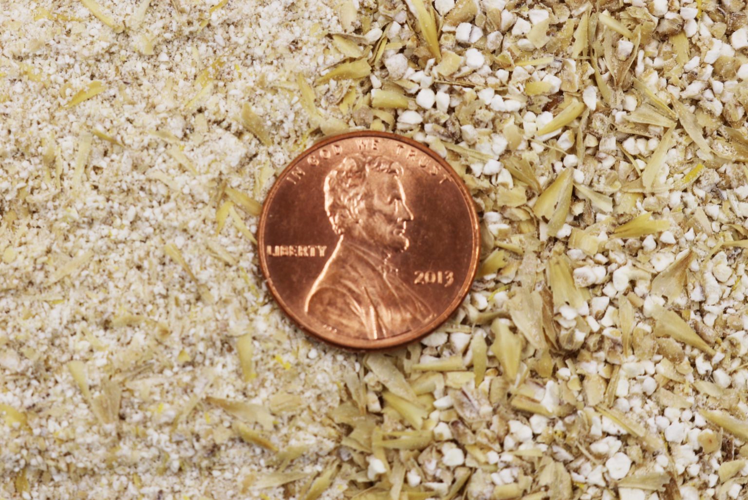 9 to 5 Grind an Exploration into Grain Milling Brewing With Briess