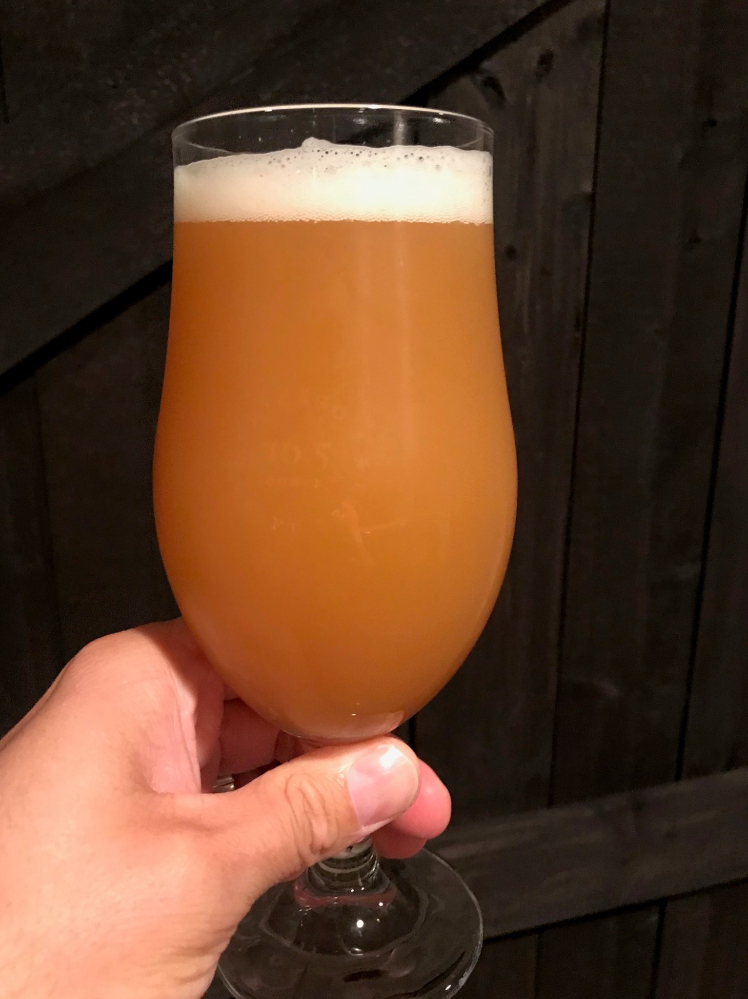 Brewer's Best ─ Featuring Blueberry Honey Ale Brewing With Briess