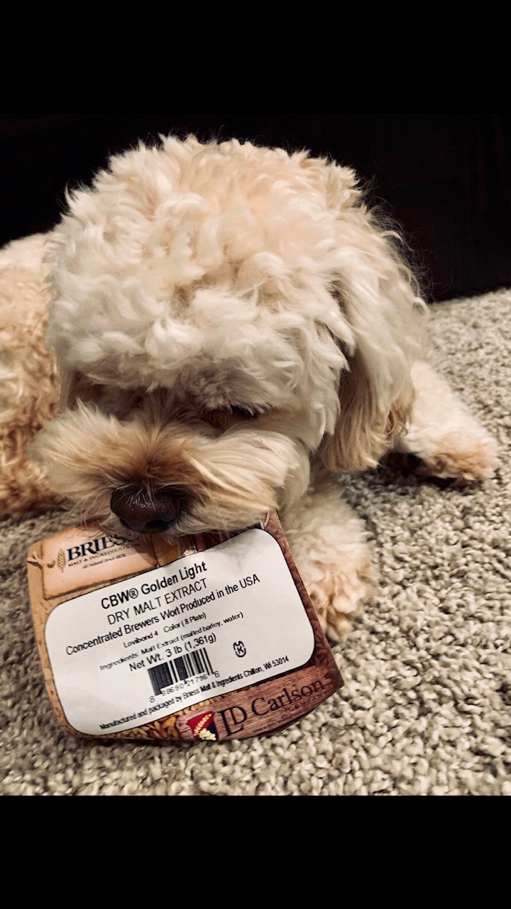 Brewer's Best ─ Featuring Blueberry Honey Ale Brewing With Briess