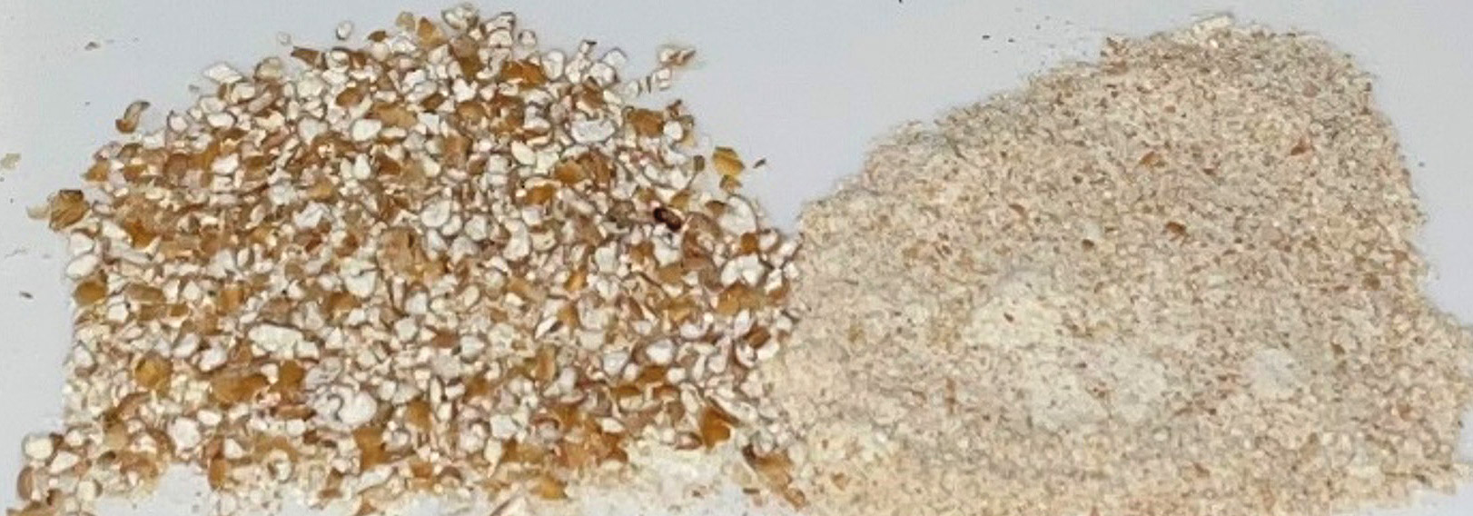 Differences Between Raw, Torrified, Flaked & Malted Wheat in Beer Brewing